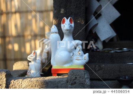 おいなりさん(狐) おいなりさん(狐) 44506054