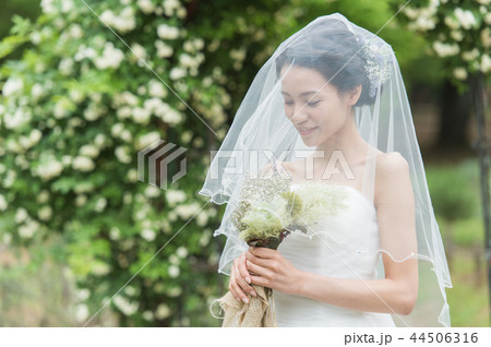 緑の中で微笑むドレスの新婦 緑の中で微笑むドレスの新婦 44506316
