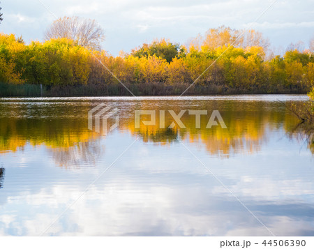 A small lake in the Park, the yellowing trees along the shore. The reflection of sky and trees in 44506390