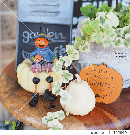 玄関のインテリア雑貨 44506840