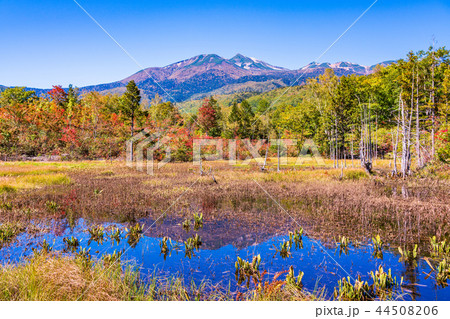 （長野県）秋の乗鞍高原　どじょう池 44508206