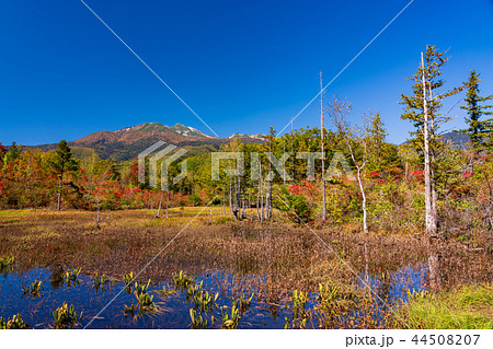 （長野県）秋の乗鞍高原　どじょう池 44508207