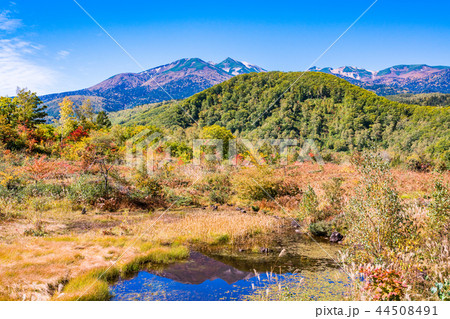 (長野県)秋の乗鞍高原 まいめの池 (長野県)秋の乗鞍高原 まいめの池 44508491