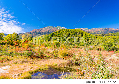 （長野県）秋の乗鞍高原　まいめの池 44508492
