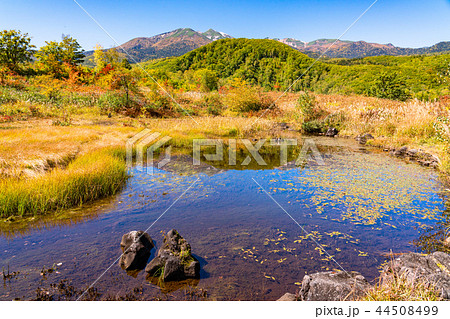 （長野県）秋の乗鞍高原　まいめの池 44508499