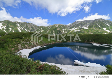 残雪が残る夏のみくりが池と立山連峰 44508866