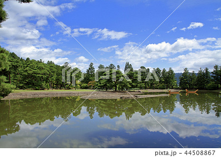 毛越寺 大泉が池 毛越寺 大泉が池 44508867