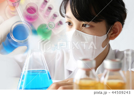 実験する若い研究者 44509243