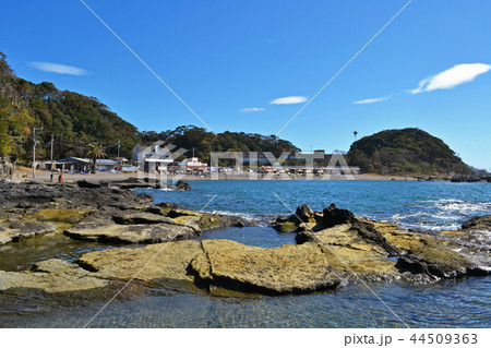 荒井浜海岸 44509363