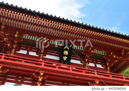 鎌倉・鶴岡八幡宮 44509694