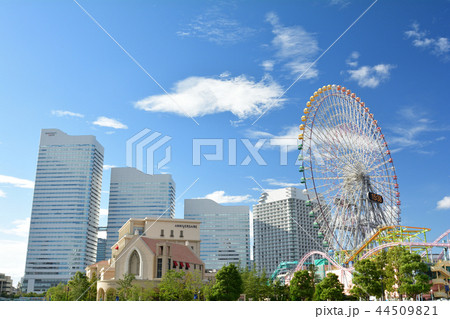 横浜 44509821