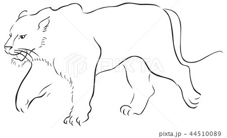 stroke vector hand drawn illustration with tiger 44510089