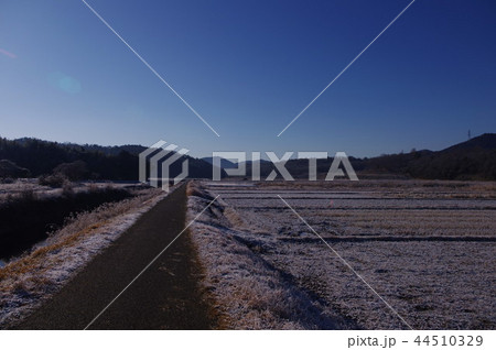 入鹿池の初霜と積雪 44510329