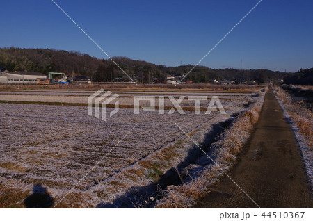 入鹿池の初霜と初雪 入鹿池の初霜と初雪 44510367