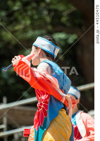 原宿スーパーよさこい２０１８　原宿表参道元気祭り　８月 44510470
