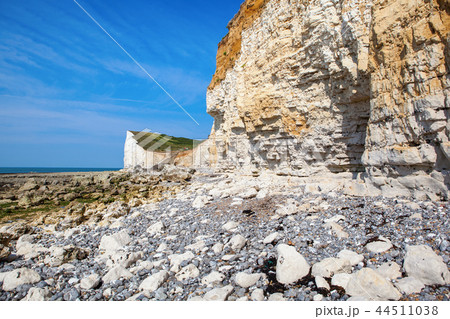 White chalk cliffs in Seaford Head White chalk cliffs in Seaford Head 44511038