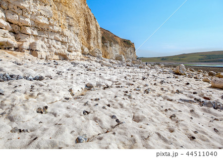 White chalk cliffs Cuckmere Haven 44511040
