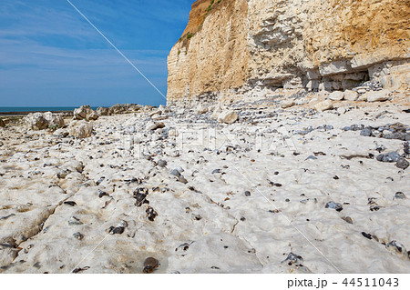 White chalk cliffs in Seaford Head White chalk cliffs in Seaford Head 44511043