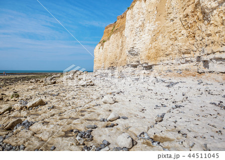 White chalk cliffs in Seaford Head White chalk cliffs in Seaford Head 44511045