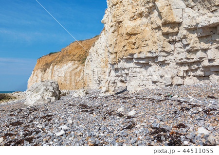 White chalk cliffs in Seaford Head 44511055