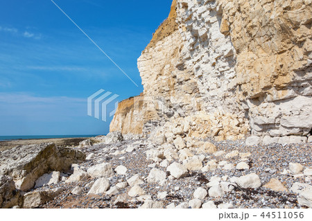 White chalk cliffs in Seaford Head White chalk cliffs in Seaford Head 44511056
