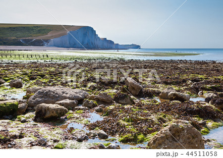 Chalk cliffs, path, Seaford Head 44511058