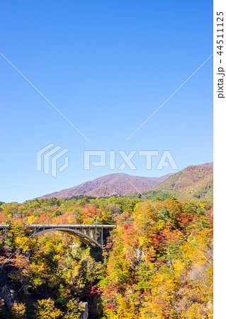 【宮城県】鳴子峡の紅葉 【宮城県】鳴子峡の紅葉 44511125