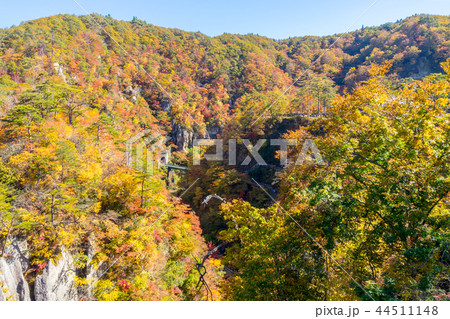 【宮城県】鳴子峡の紅葉 44511148