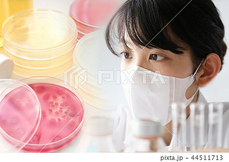 研究イメージ　微生物検査 44511713