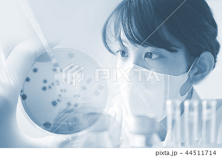 研究イメージ　微生物検査 44511714