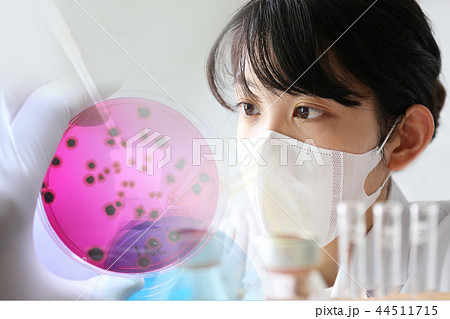 研究イメージ　微生物検査 44511715