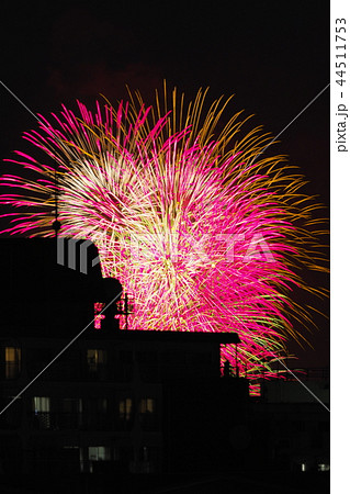 平成時代最後の多摩川花火大会 平成時代最後の多摩川花火大会 44511753