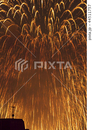 平成時代最後の多摩川花火大会 平成時代最後の多摩川花火大会 44511757