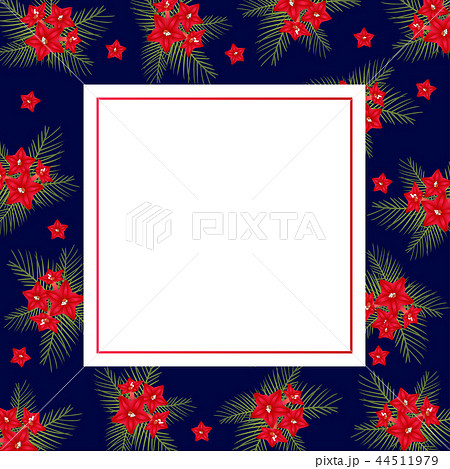 Cypress vine Flower on Christmas Blue Banner Card Cypress vine Flower on Christmas Blue Banner Card 44511979