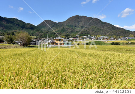 二上山 二上山 44512155