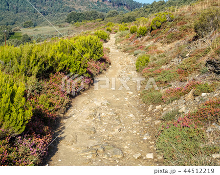 Camino track at Punto Alto - Manjarin 44512219