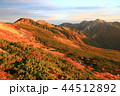 北アルプス朝焼け 44512892