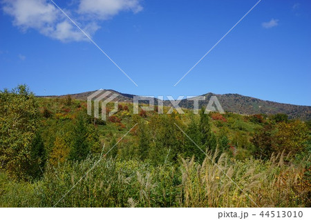 八幡平の松尾鉱山跡 44513010