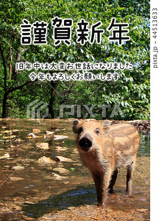 亥年 年賀状 亥年 年賀状 44513633