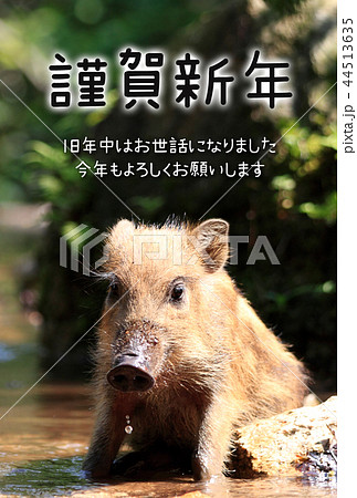 亥年 年賀状 亥年 年賀状 44513635