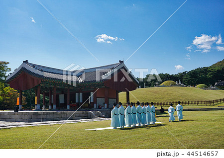 伝統 朝鮮王陵 芝生 44514657