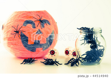 ハロウィーン ハロウィン カボチャ 44514940