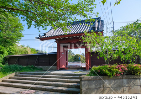 横浜市 称名寺 赤門 横浜市 称名寺 赤門 44515241
