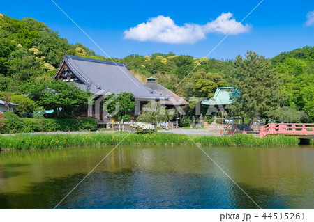 横浜市 称名寺 横浜市 称名寺 44515261