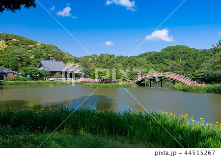 横浜市 称名寺 44515267