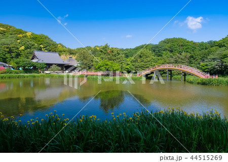 横浜市 称名寺 44515269