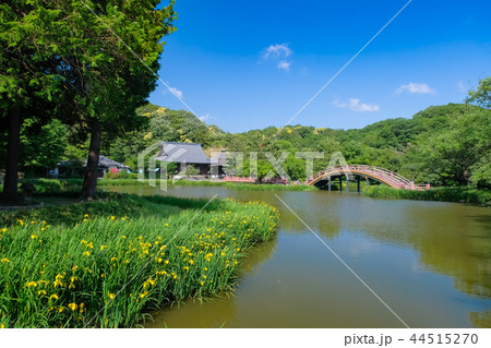 横浜市 称名寺 横浜市 称名寺 44515270
