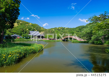 横浜市 称名寺 横浜市 称名寺 44515275