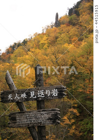 紅葉の見返り岩 紅葉の見返り岩 44515915