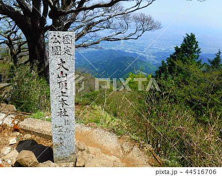 山頂の景色 44516706
